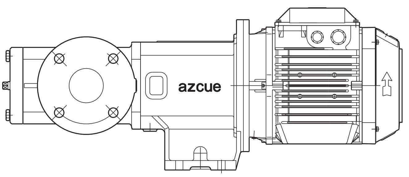 Azcue BT-IL Pumps and Spare Parts