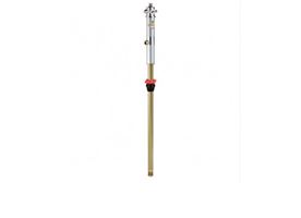 RAASM 1 - 1 Air Operated Oil Pumps