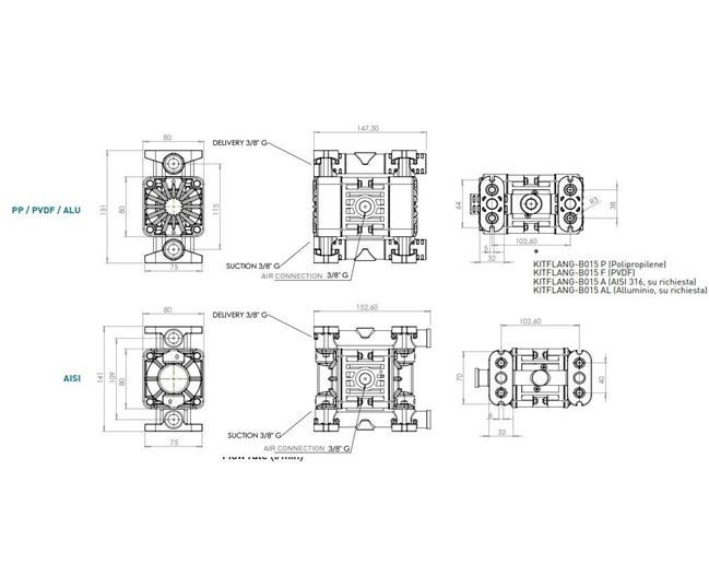 Boxer 15 - 3/8" AODD Pump