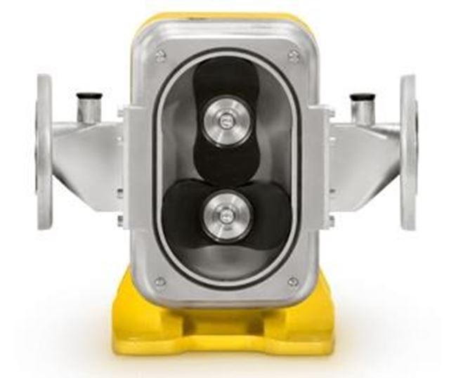 Boyser LB-M Rotary Lobe Pump