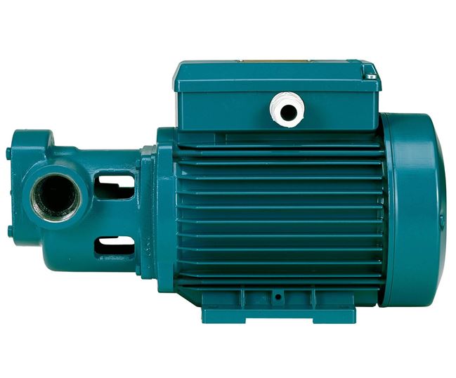 Calpeda I & IR Series Gear Pump