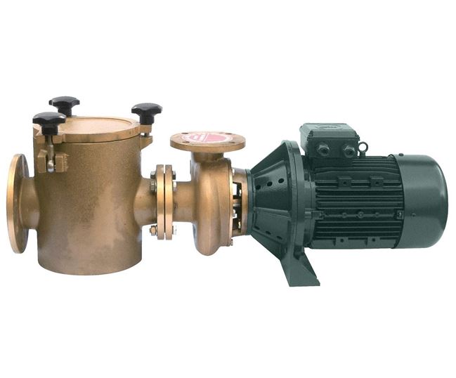 NRDN FN3000 Industrial Swimming Pool Pumps Cast Iron & Bronze North Ridge Pumps