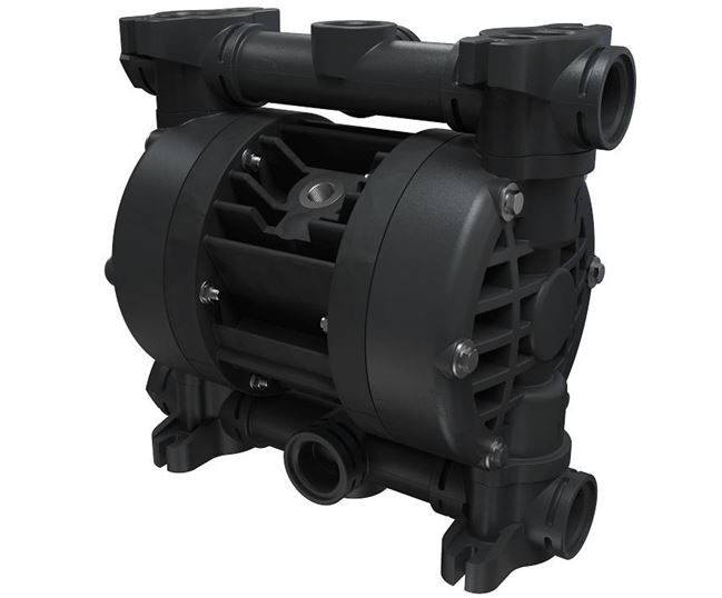 Boxer 81 - 1" AODD Pump