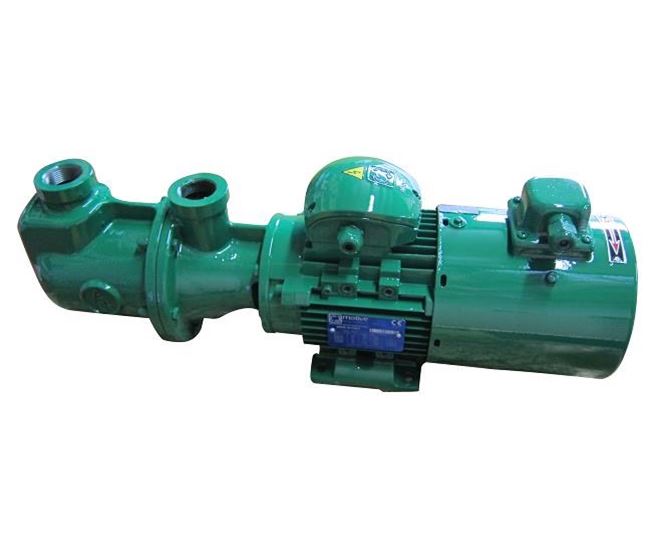 North Ridge R Wobble Progressive Cavity Pump