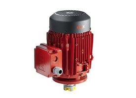Flux DSM 3-Phase Motor for high viscosity pumps
