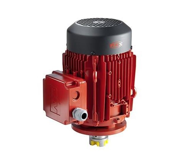 Flux DSM 3-Phase Motor for high viscosity pumps