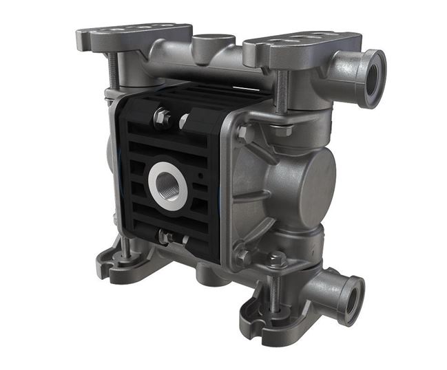 Boxer 15 - 3/8" AODD Pump