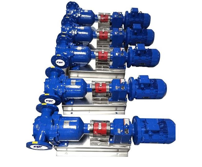 North Ridge MFIG180L Magnetically Coupled Internal Gear Pump with Extended Gear Length and In-Line Flange Connections