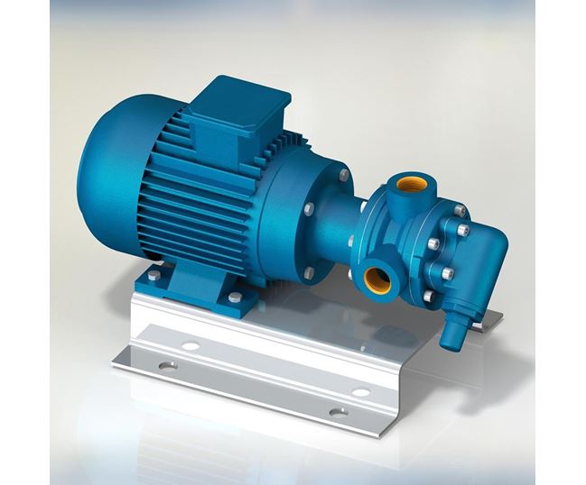 North Ridge TIG90C Close Coupled Internal Gear Pump with 90° Threaded Connections