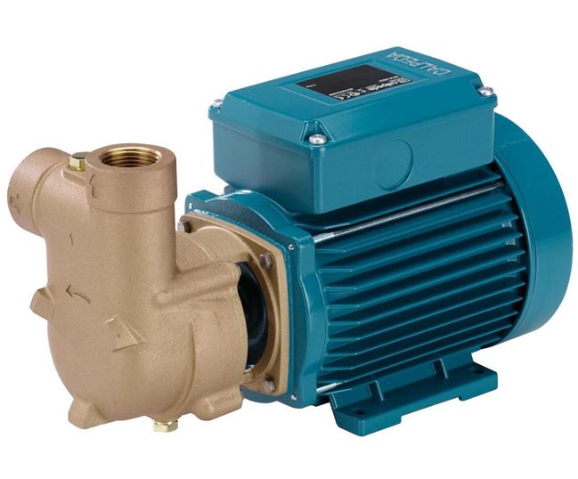 Calpeda CA Series Self Priming Liquid Ring Pump