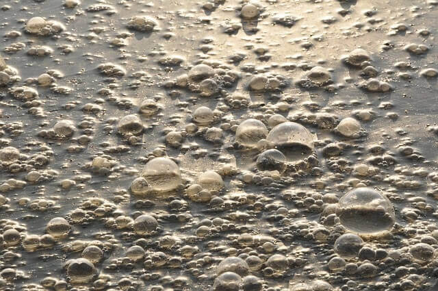 Aeration in Wastewater Treatment