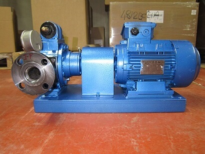 NRBAL-12R/B300H rotary vane pump with pressure gauges, side view