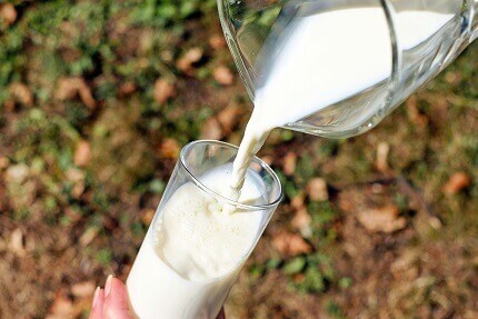 Milk - a Shear Sensitive Fluid