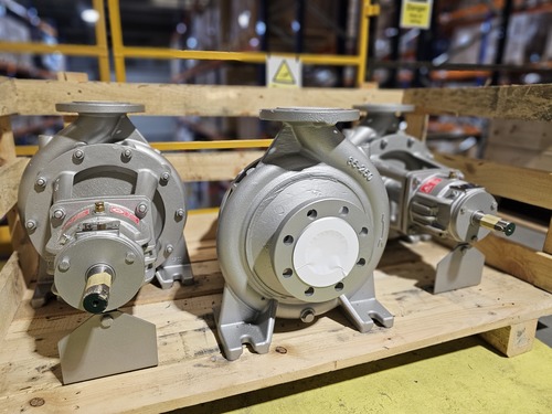 Thermal oil pumps - Bareshaft