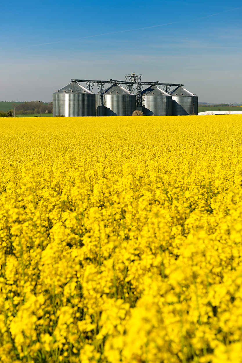 Agricultural Farming Agricultural Farming